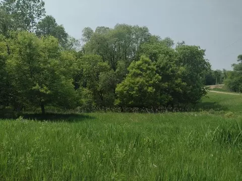 lot7 Block 2 Crystal Beach Rd, Pelican Rapids, MN 56572