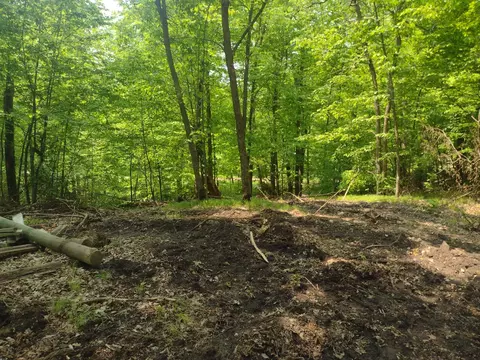 lot8 Block 2 Crystal Beach Rd, Pelican Rapids, MN 56572