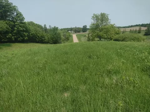 lot1 Block 3 Crystal Beach Rd, Pelican Rapids, MN 56572