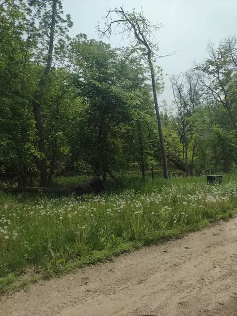 lot2 Block 3 Crystal Beach Rd, Pelican Rapids, MN 56572