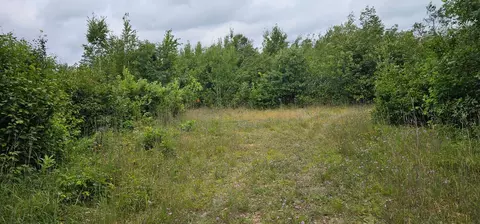tbd Parcel B Sunnyside Rd SE, Bemidji, MN 56601