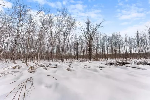 tbd Eldorado, Garrison, MN 56450 photo 10