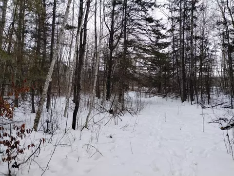 tbd 294th Ave, Brook Park, MN 55007 photo 3