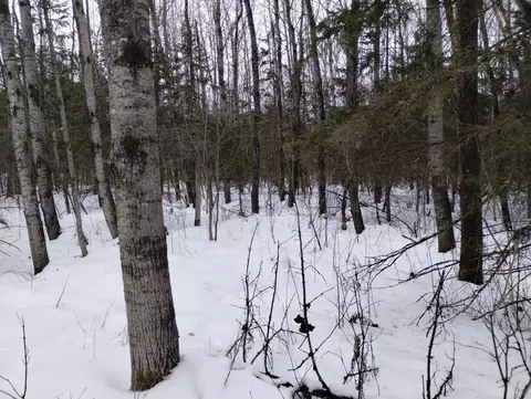 tbd 294th Ave, Brook Park, MN 55007 photo 7