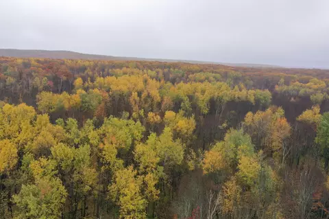 16 W Nnn W County Road O, Weyerhaeuser, WI 54895