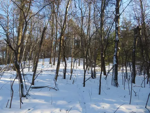 lot1 Lincoln Ave, Amery, WI 54001