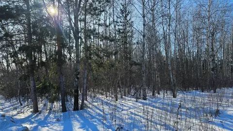 tbd Oak St, Brainerd, MN 56401 photo 4