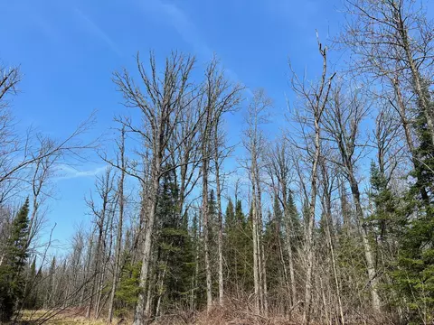 11 Tbd Gulley Rd, Maple, WI 54854 photo 7