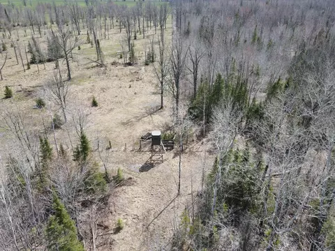 11 Tbd Gulley Rd, Maple, WI 54854 photo 36
