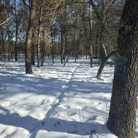 tbd W River Rd, Grantsburg, WI 54840