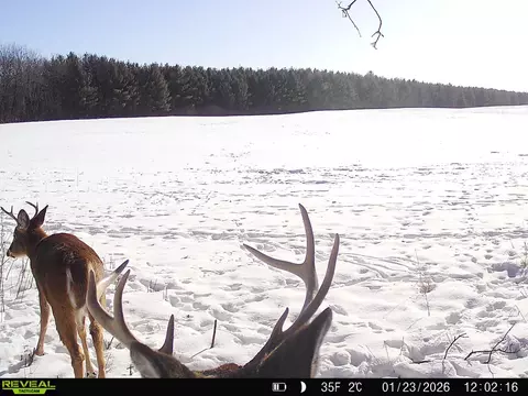 20 05 Acres County Rd N, Wheeler, WI 54772 photo 10