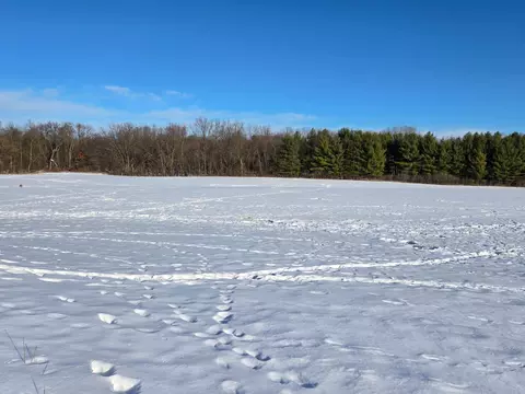 20 05 Acres County Rd N, Wheeler, WI 54772 photo 6