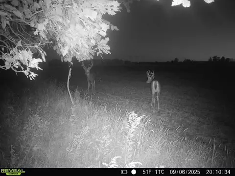 20 05 Acres County Rd N, Wheeler, WI 54772 photo 12