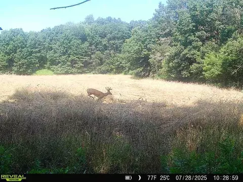 20 05 Acres County Rd N, Wheeler, WI 54772 photo 13