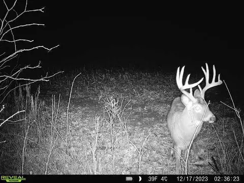 20 05 Acres County Rd N, Wheeler, WI 54772 photo 11