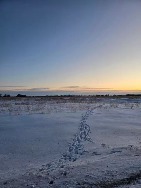 tbd County Highway 32, Gary, MN 56545