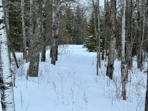 tbd Samuelson Rd, Angora, MN 55703 photo 4