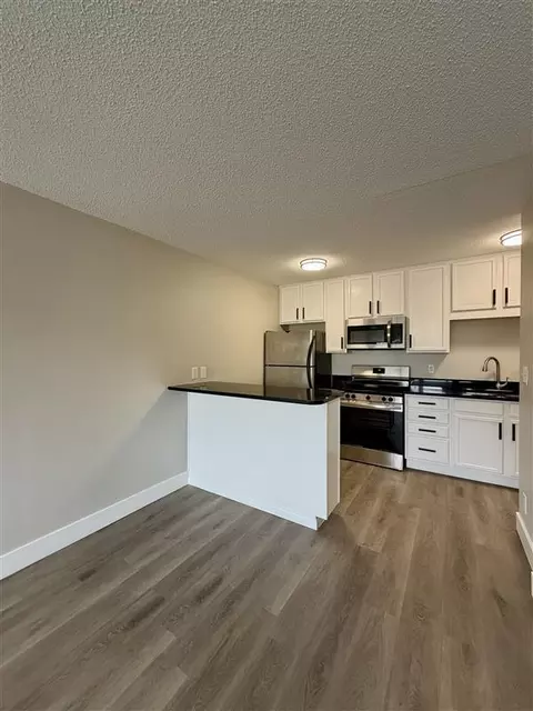 1800 Lasalle Ave #302, Minneapolis, MN 55403