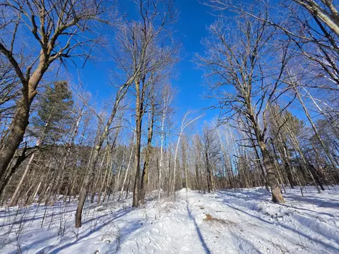 tbd County Road 43, Willow River, MN 55795 photo 12