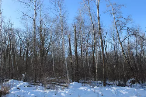9 Nnn 200th St, Milaca, MN 56353