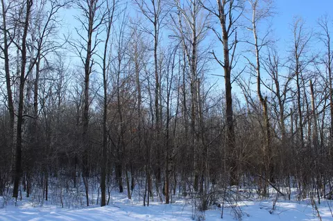 9 Nnn 200th St, Milaca, MN 56353 photo 5