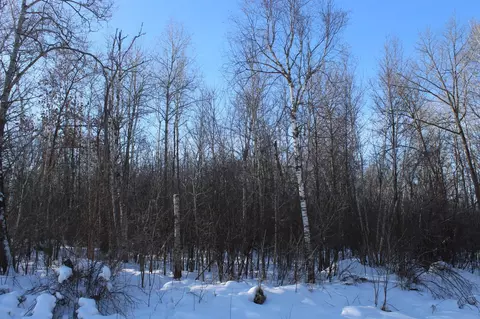 9 Nnn 200th St, Milaca, MN 56353 photo 2