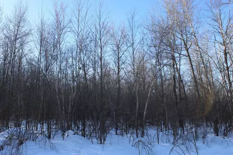 9 Nnn 200th St, Milaca, MN 56353 photo 3
