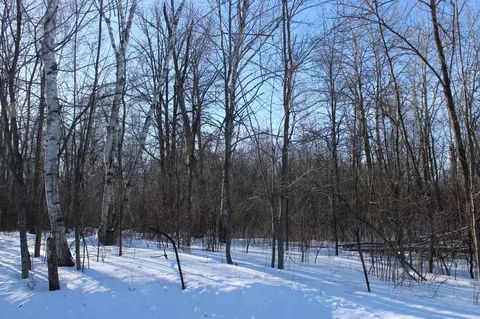 91 Nn 200th St, Milaca, MN 56353 photo 6