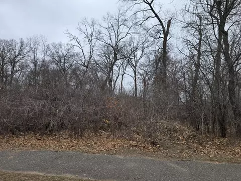 L1, Princeton, MN 55398 photo 3