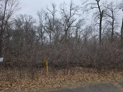 L1, Princeton, MN 55398 photo 2