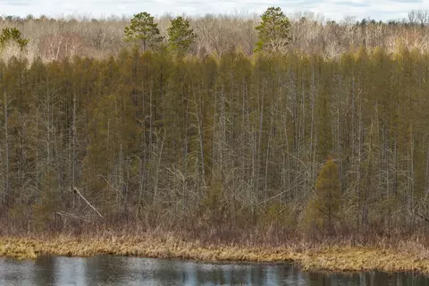 tbd 36th Ave SW, Pine River, MN 56474 photo 8