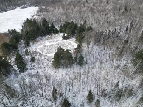 tbd Tract 3 Ticonderoga Trl, Hackensack, MN 56425 photo 8