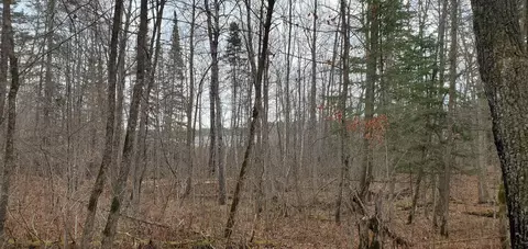 tbd Tract 3 Ticonderoga Trl, Hackensack, MN 56425 photo 5