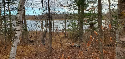 tbd Tract 3 Ticonderoga Trl, Hackensack, MN 56425 photo 7