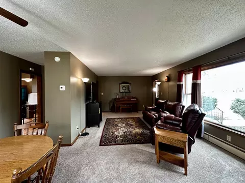 Living - 206 Maple St N, Mabel, MN 55954 photo 4 of 5