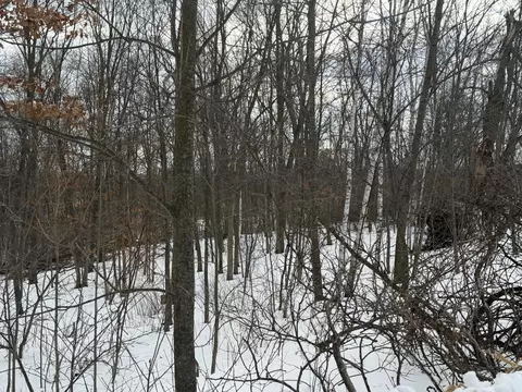 tbd 180th Ave, Balsam Lake, WI 54810