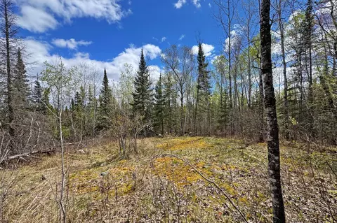 0012 Fectos Rd, Tower, MN 55790 photo 43