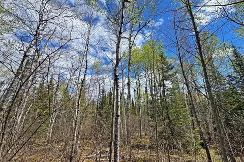 0012 Fectos Rd, Tower, MN 55790 photo 49