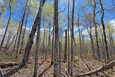 0012 Fectos Rd, Tower, MN 55790 photo 39