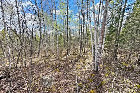 0012 Fectos Rd, Tower, MN 55790 photo 46