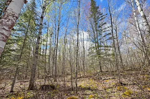 0012 Fectos Rd, Tower, MN 55790 photo 48