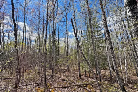 0012 Fectos Rd, Tower, MN 55790 photo 42