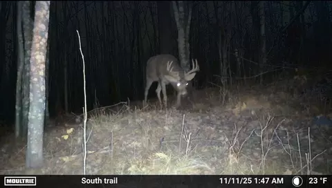 tbd County 36, Bemidji, MN 56601 photo 3
