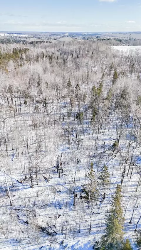tbd County 36, Bemidji, MN 56601 photo 21