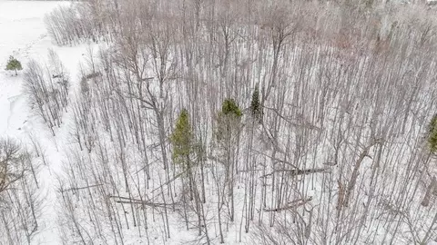 tbd County 36, Bemidji, MN 56601 photo 10