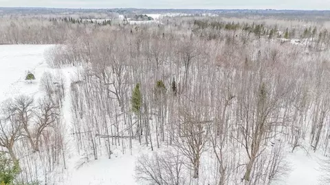 tbd County 36, Bemidji, MN 56601 photo 11