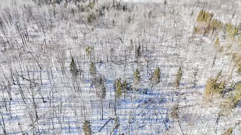 tbd County 36, Bemidji, MN 56601 photo 17