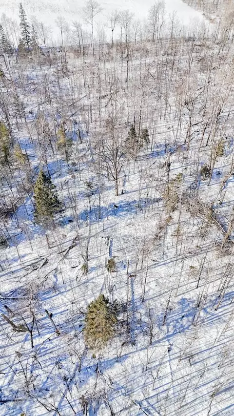 tbd County 36, Bemidji, MN 56601 photo 20