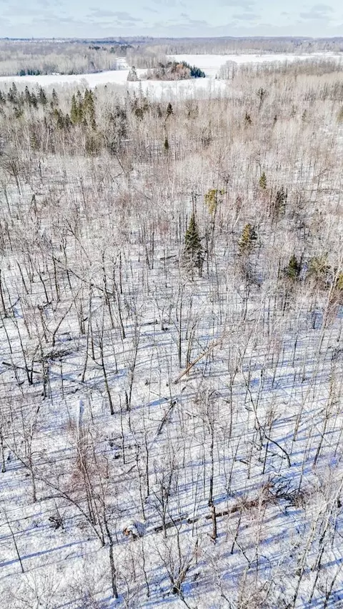 tbd County 36, Bemidji, MN 56601 photo 18