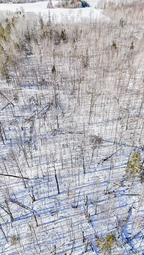 tbd County 36, Bemidji, MN 56601 photo 19